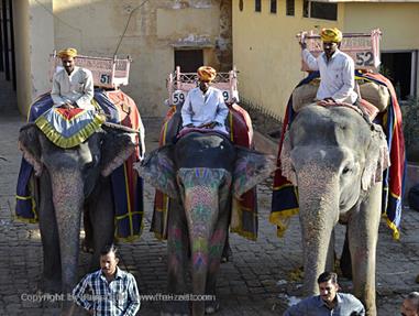 04 Fort_Amber_and Elephants,_Jaipur_DSC4990_b_H600